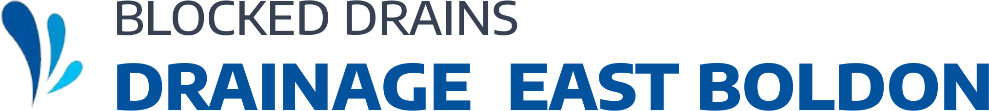website logo